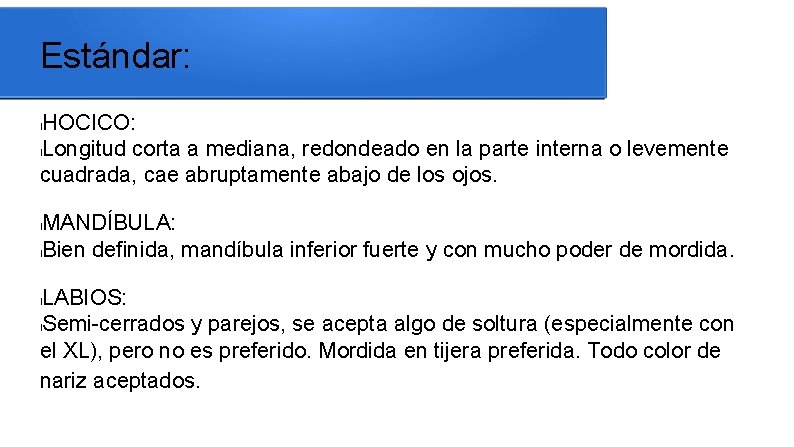 Estándar: HOCICO: l. Longitud corta a mediana, redondeado en la parte interna o levemente