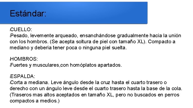 Estándar: CUELLO: l. Pesado, levemente arqueado, ensanchándose gradualmente hacia la unión con los hombros.