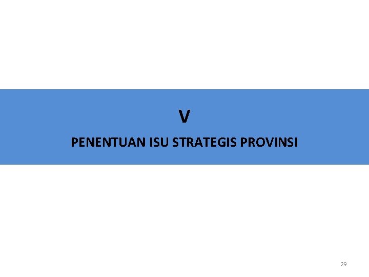 V PENENTUAN ISU STRATEGIS PROVINSI 29 