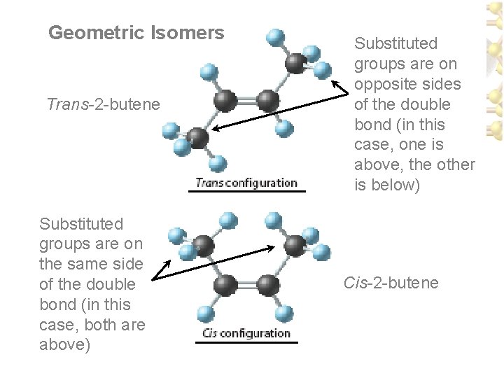 Geometric Isomers Trans-2 -butene Substituted groups are on the same side of the double