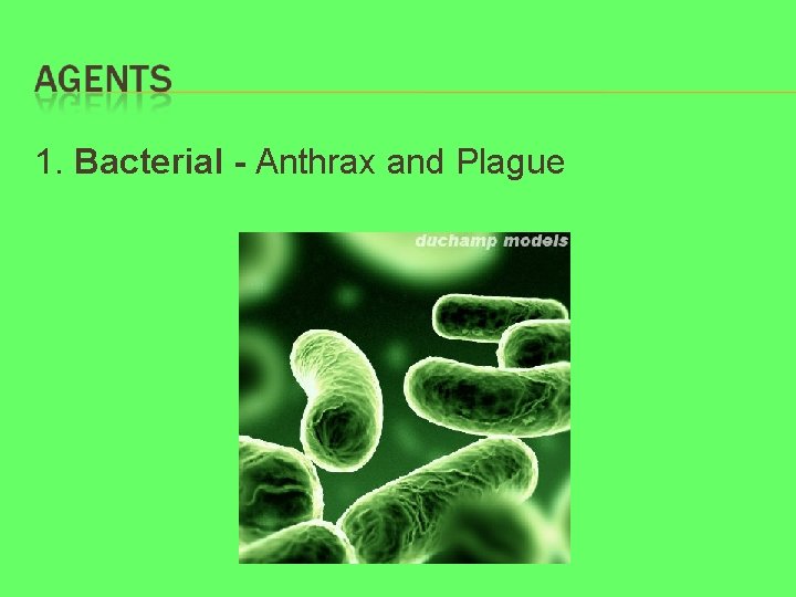 1. Bacterial - Anthrax and Plague 