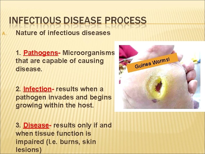 A. Nature of infectious diseases 1. Pathogens- Microorganisms that are capable of causing disease.