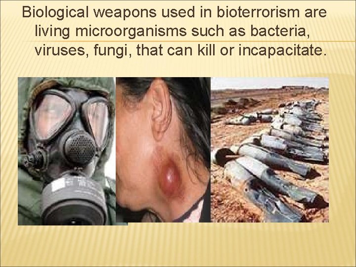 Biological weapons used in bioterrorism are living microorganisms such as bacteria, viruses, fungi, that