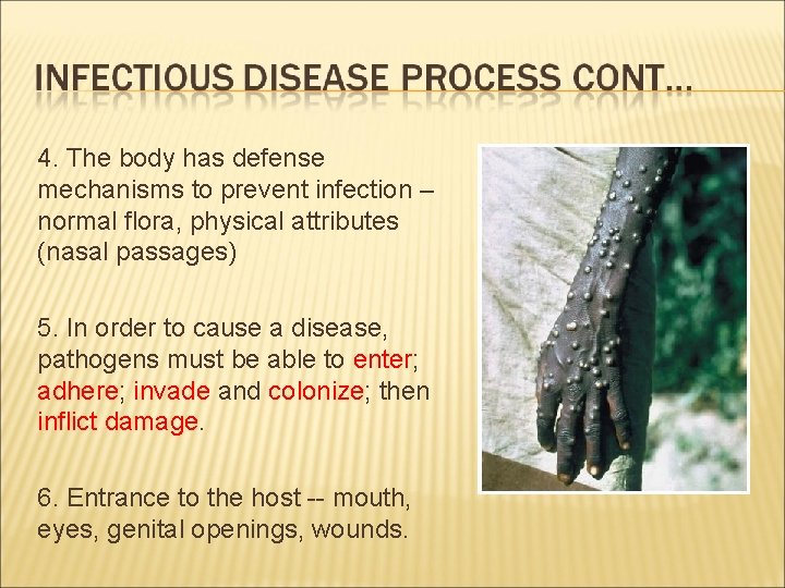 4. The body has defense mechanisms to prevent infection – normal flora, physical attributes