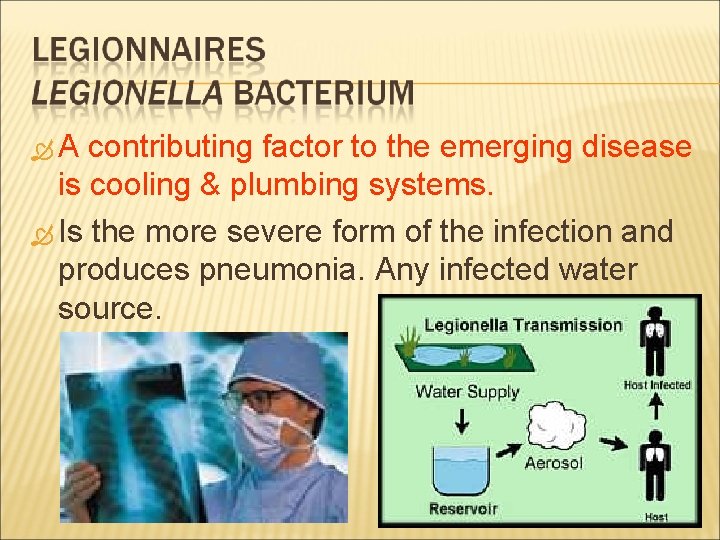  A contributing factor to the emerging disease is cooling & plumbing systems. Is