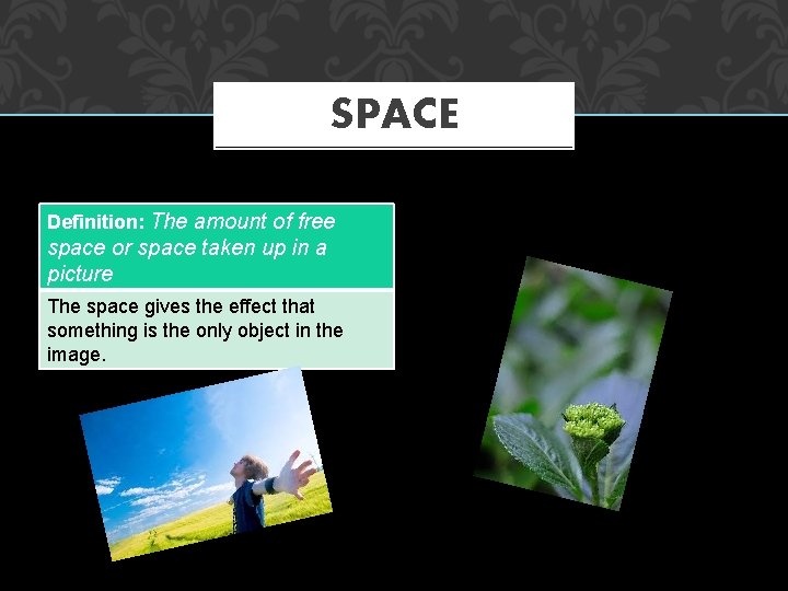 SPACE Definition: The amount of free space or space taken up in a picture
