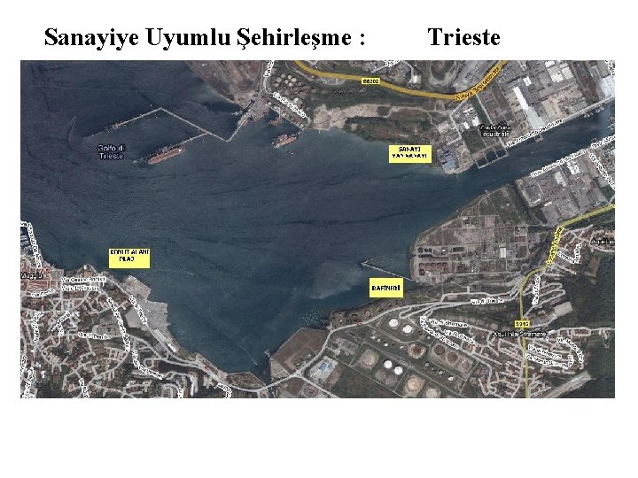 Sanayiye Uyumlu Şehirleşme : Trieste 