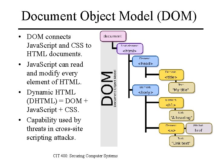 Document Object Model (DOM) • DOM connects Java. Script and CSS to HTML documents.
