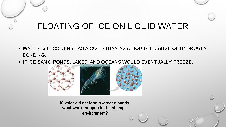 FLOATING OF ICE ON LIQUID WATER • WATER IS LESS DENSE AS A SOLID