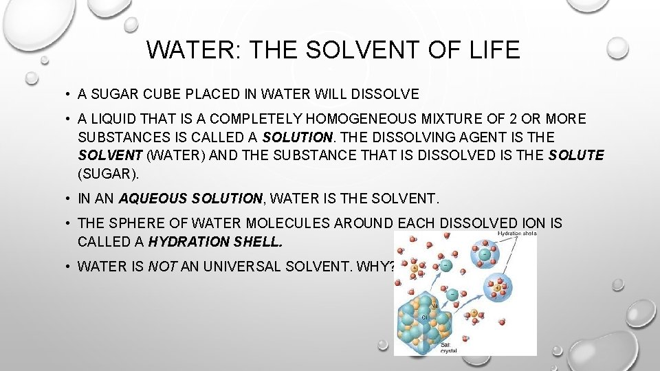 WATER: THE SOLVENT OF LIFE • A SUGAR CUBE PLACED IN WATER WILL DISSOLVE