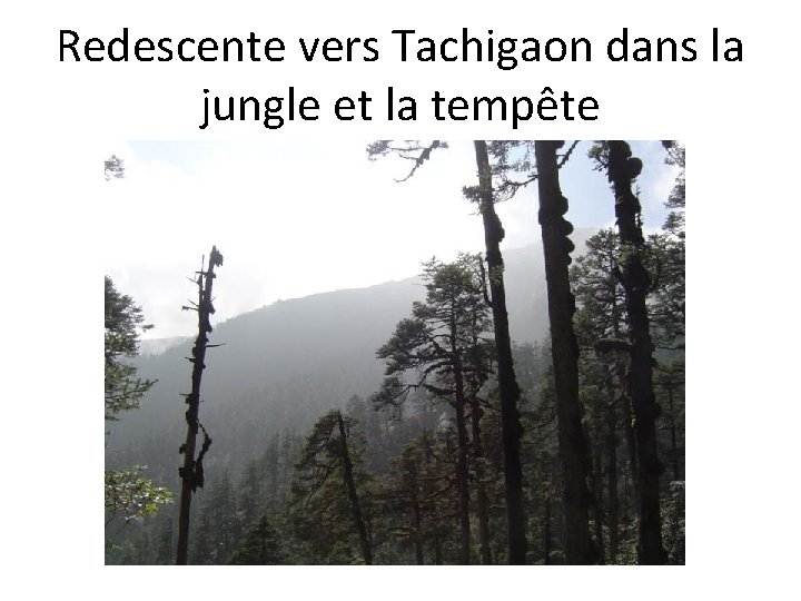 Redescente vers Tachigaon dans la jungle et la tempête 