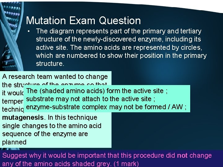 Mutation Exam Question • The diagram represents part of the primary and tertiary structure