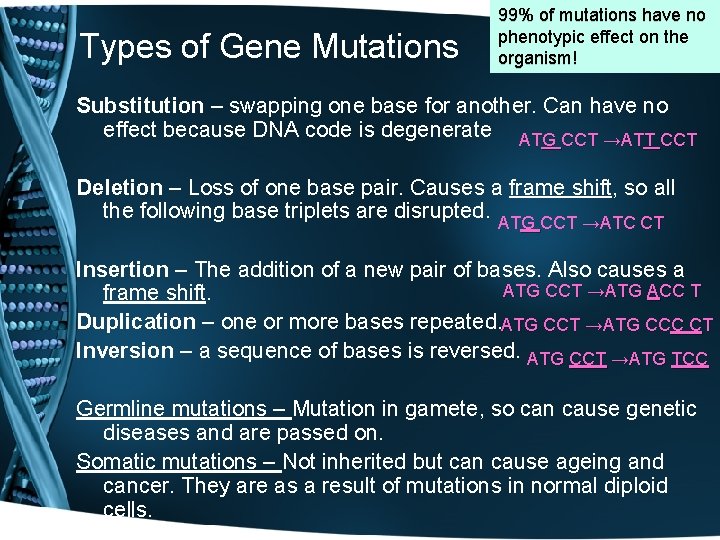 Types of Gene Mutations 99% of mutations have no phenotypic effect on the organism!
