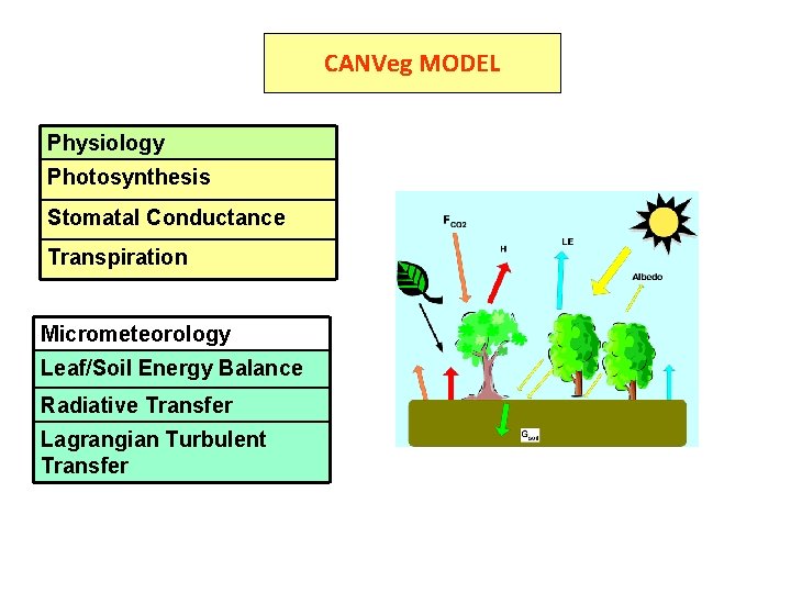 CANVeg MODEL Physiology Photosynthesis Stomatal Conductance Transpiration Micrometeorology Leaf/Soil Energy Balance Radiative Transfer Lagrangian
