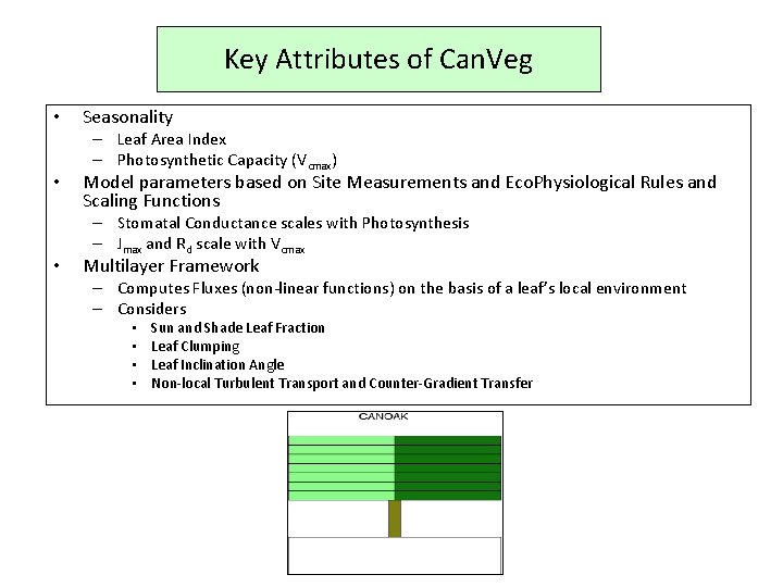 Key Attributes of Can. Veg • • • Seasonality – Leaf Area Index –