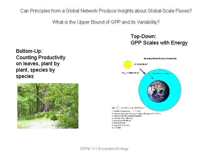 Can Principles from a Global Network Produce Insights about Global-Scale Fluxes? What is the