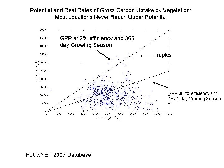 Potential and Real Rates of Gross Carbon Uptake by Vegetation: Most Locations Never Reach
