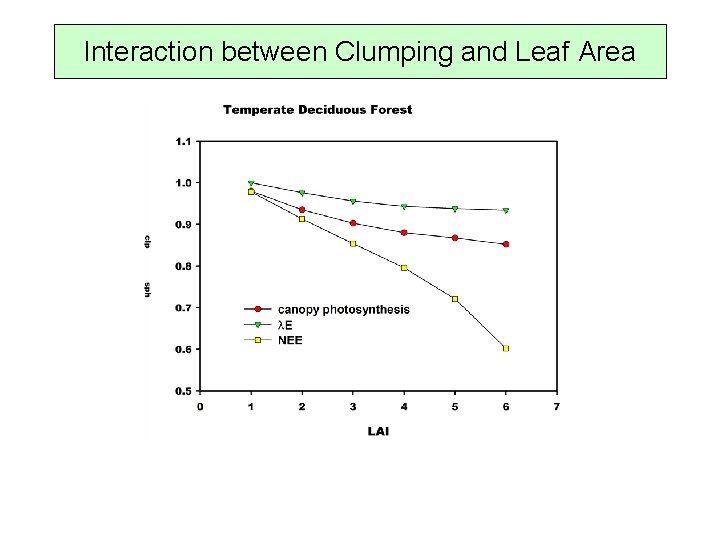 Interaction between Clumping and Leaf Area 