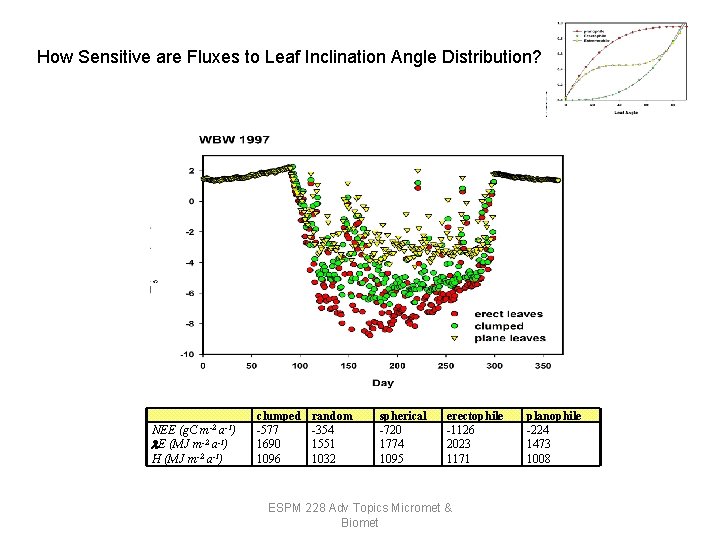 How Sensitive are Fluxes to Leaf Inclination Angle Distribution? m-2 a-1) NEE (g. C