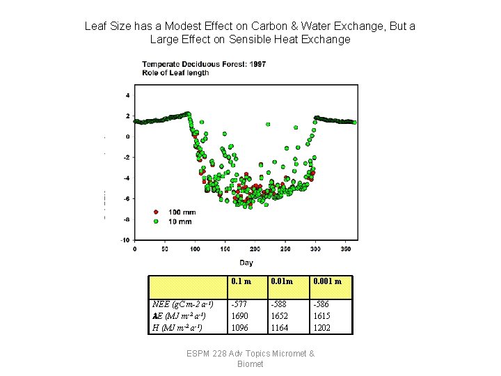Leaf Size has a Modest Effect on Carbon & Water Exchange, But a Large