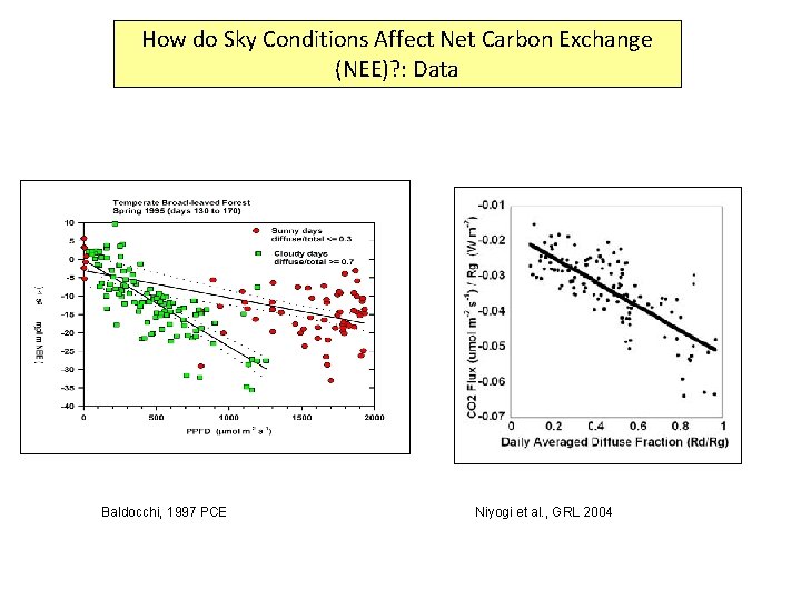 How do Sky Conditions Affect Net Carbon Exchange (NEE)? : Data Baldocchi, 1997 PCE