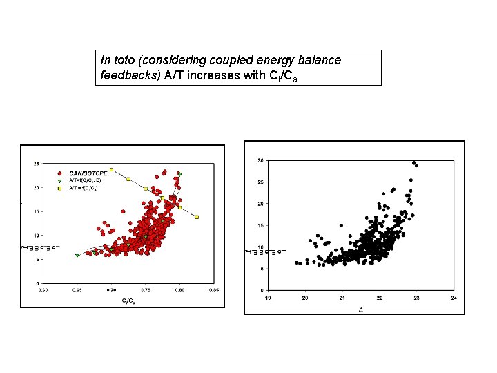 In toto (considering coupled energy balance feedbacks) A/T increases with Ci/Ca 