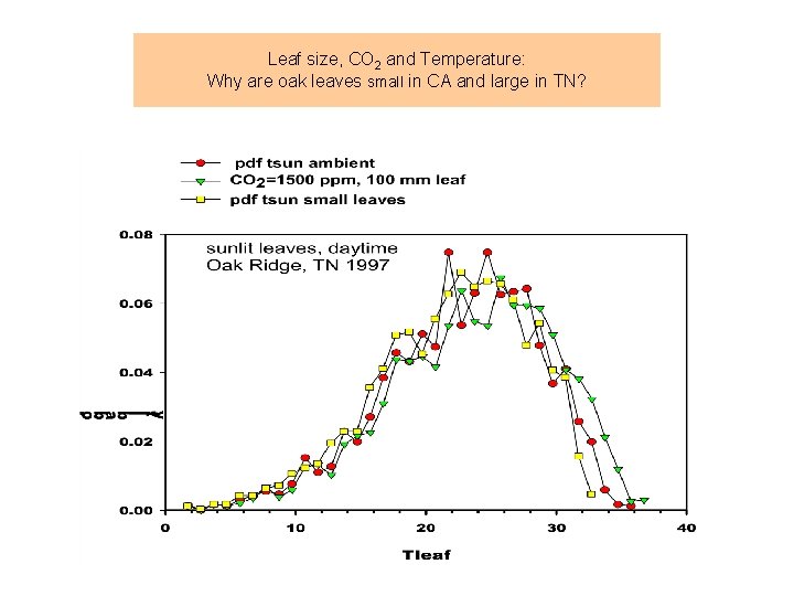 Leaf size, CO 2 and Temperature: Why are oak leaves small in CA and