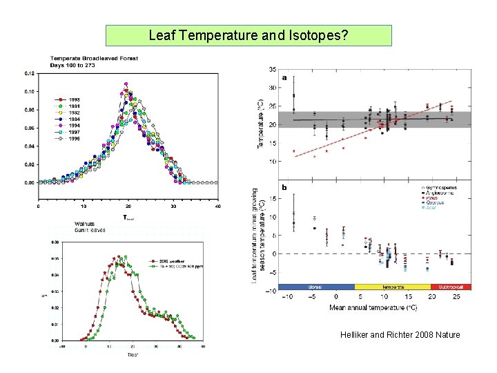 Leaf Temperature and Isotopes? Helliker and Richter 2008 Nature 