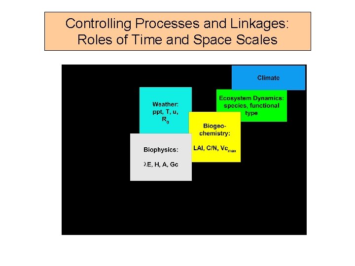 Controlling Processes and Linkages: Roles of Time and Space Scales 