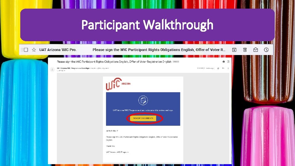 Participant Walkthrough 