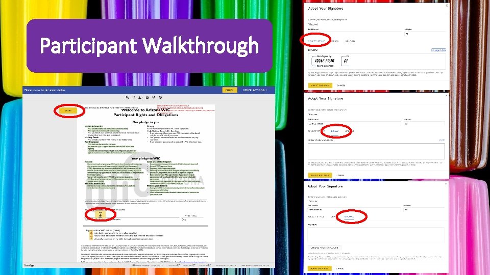 Participant Walkthrough 