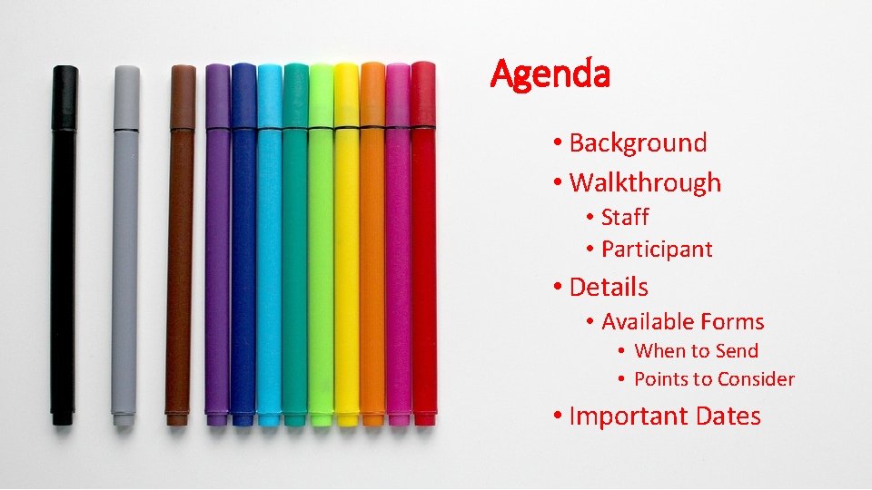 Agenda • Background • Walkthrough • Staff • Participant • Details • Available Forms