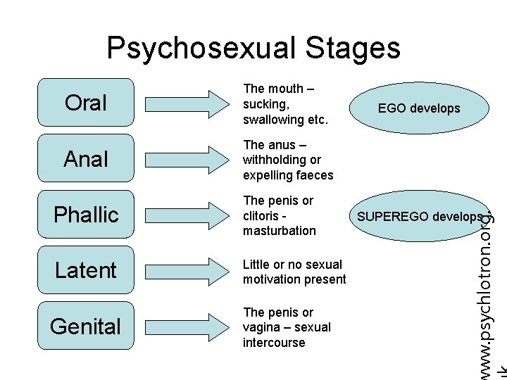 Psychosexual Stages Anal The anus – withholding or expelling faeces Phallic The penis or