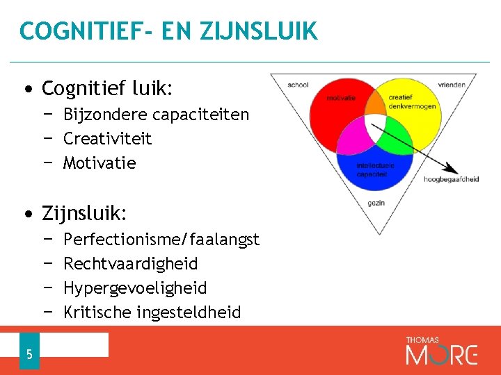 COGNITIEF- EN ZIJNSLUIK • Cognitief luik: − Bijzondere capaciteiten − Creativiteit − Motivatie •