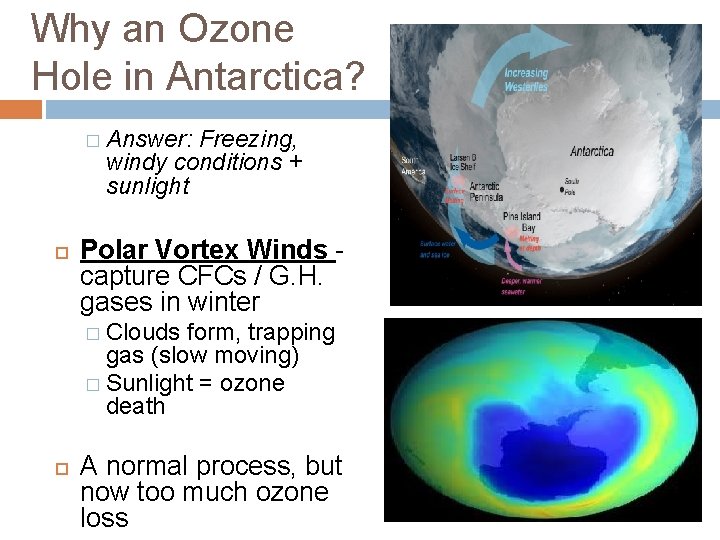 Why an Ozone Hole in Antarctica? � Answer: Freezing, windy conditions + sunlight Polar