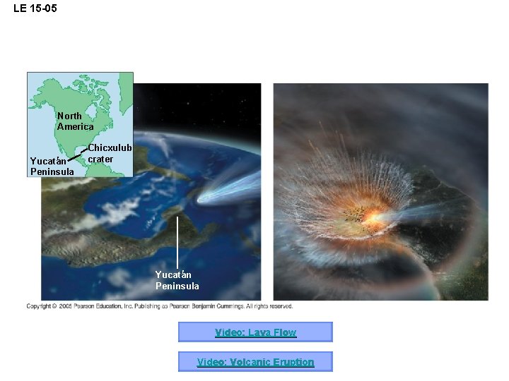 LE 15 -05 North America ¢ Yucatan Peninsula Chicxulub crater ¢ Yucatan Peninsula Video: