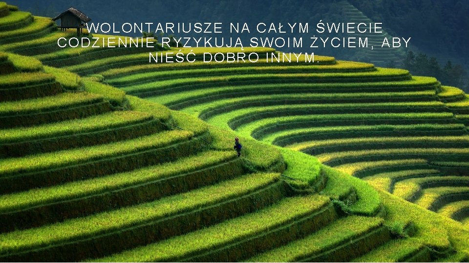 WOLONTARIUSZE NA CAŁYM ŚWIECIE CODZIENNIE RYZYKUJĄ SWOIM ŻYCIEM, ABY NIEŚĆ DOBRO INNYM. 
