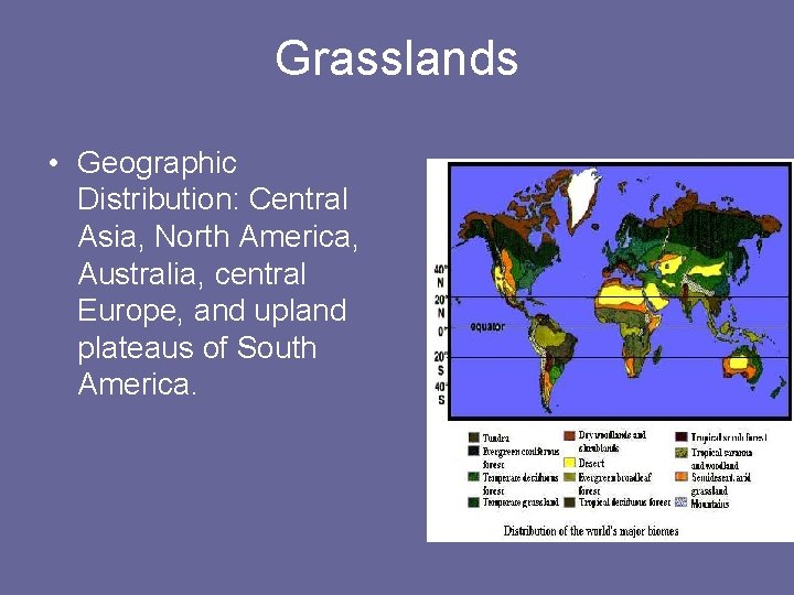 Grasslands • Geographic Distribution: Central Asia, North America, Australia, central Europe, and upland plateaus