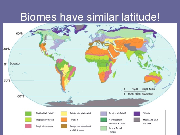 Biomes have similar latitude! Tropical rain forest Tropical dry forest Tropical savanna Temperate grassland