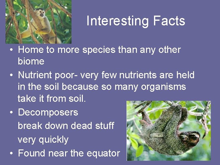 Interesting Facts • Home to more species than any other biome • Nutrient poor-