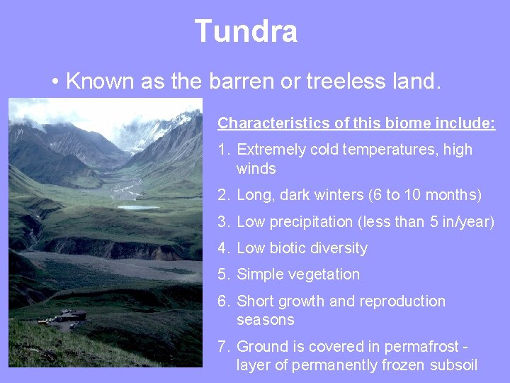 Tundra • Known as the barren or treeless land. Characteristics of this biome include: