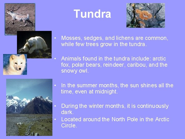 Tundra • Mosses, sedges, and lichens are common, while few trees grow in the