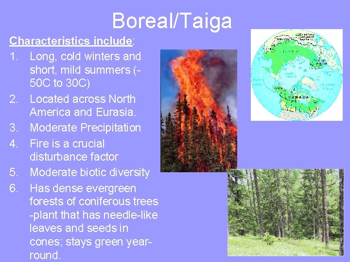 Boreal/Taiga Characteristics include: 1. Long, cold winters and short, mild summers (50 C to