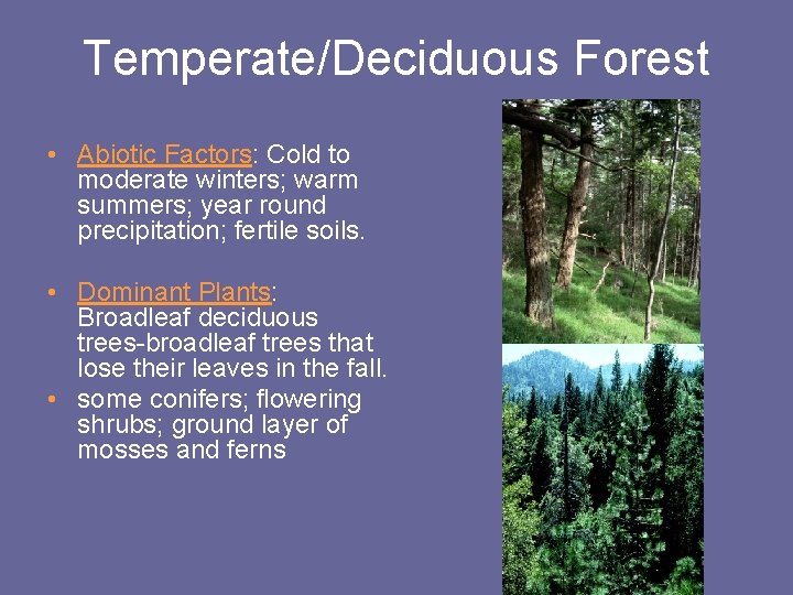 Temperate/Deciduous Forest • Abiotic Factors: Cold to moderate winters; warm summers; year round precipitation;