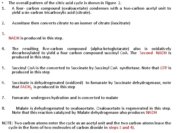  • The overall pattern of the citric acid cycle is shown in Figure