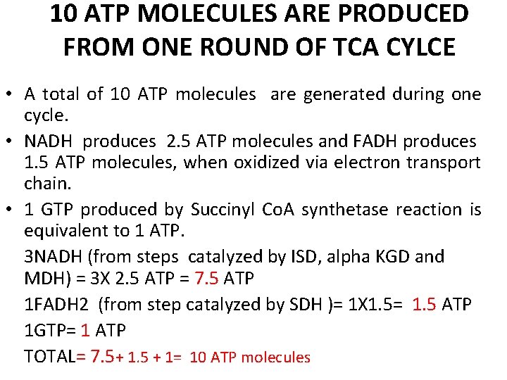 10 ATP MOLECULES ARE PRODUCED FROM ONE ROUND OF TCA CYLCE • A total