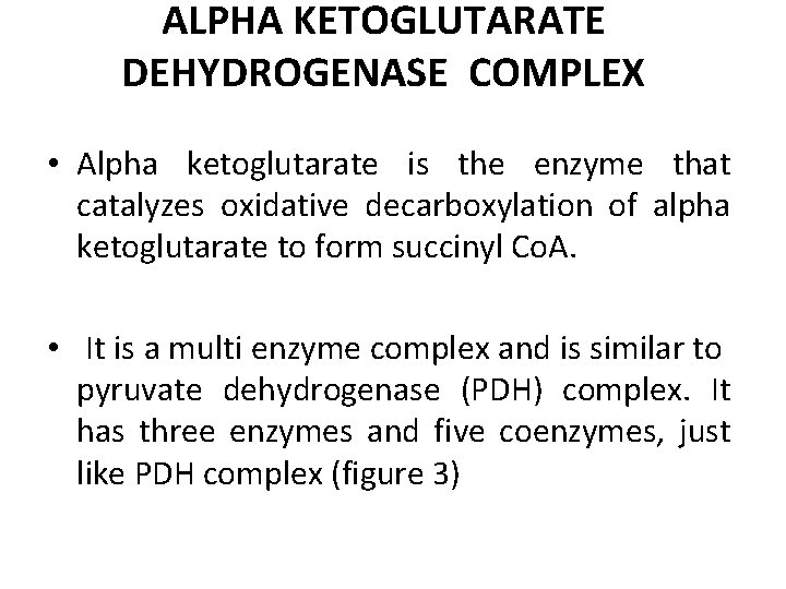 ALPHA KETOGLUTARATE DEHYDROGENASE COMPLEX • Alpha ketoglutarate is the enzyme that catalyzes oxidative decarboxylation