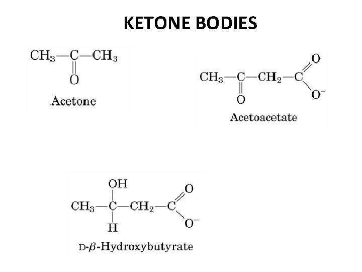 KETONE BODIES 
