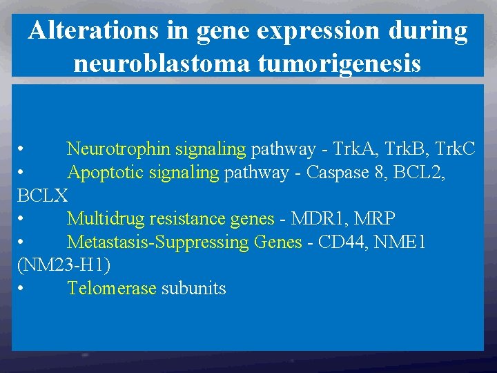 Alterations in gene expression during neuroblastoma tumorigenesis • Neurotrophin signaling pathway - Trk. A,