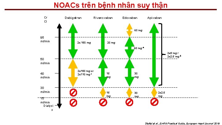 NOACs trên bệnh nhân suy thận Cr Cl Dabigatran Rivaroxaban Edoxaban Apixaban 60 mg